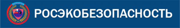 Логотип компании РосЭкоБезопасность