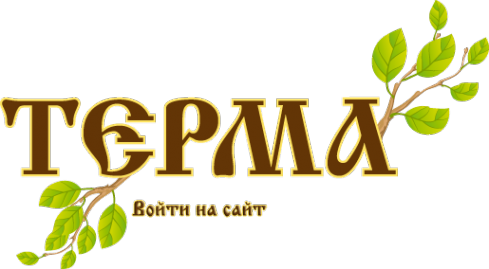 Логотип компании Терма Плюс
