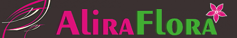 Логотип компании АЛИРА