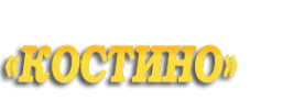 Логотип компании КОСТИНО