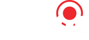 Логотип компании Flexis