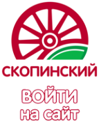 Логотип компании Скопинский